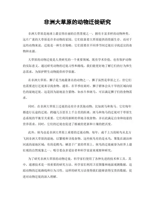 非洲大草原的动物迁徙研究