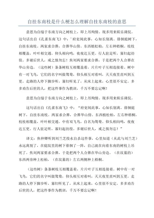 自挂东南枝是什么梗怎么理解自挂东南枝的意思