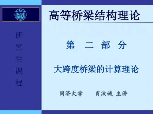 大跨度桥梁(高等桥梁理论)