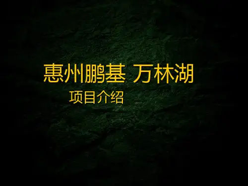 惠州鹏基万林湖项目介绍2007.4.16..