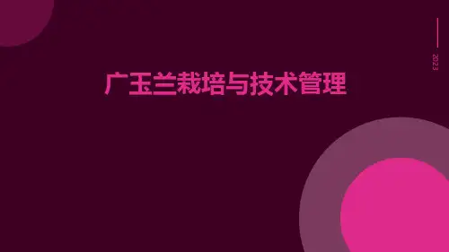 广玉兰栽培与技术管理