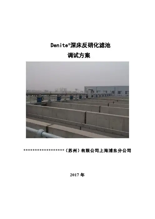 (完整word版)反硝化滤池调试方案