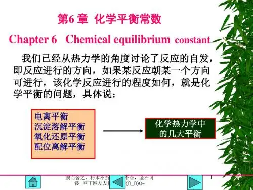 第6章 化学平衡常数[PPT]