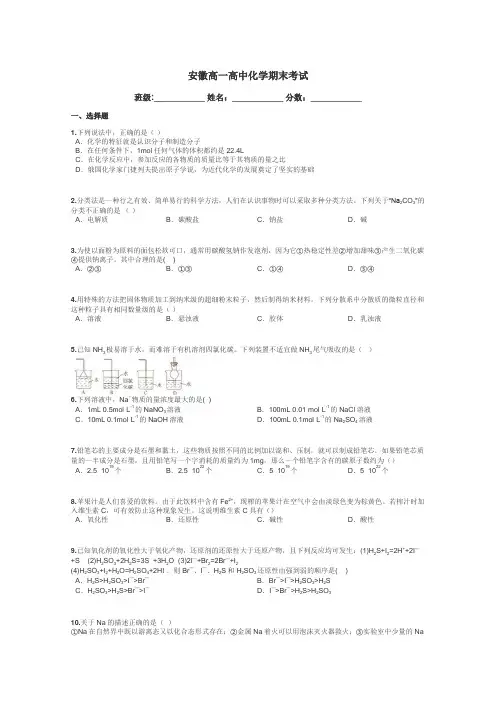 安徽高一高中化学期末考试带答案解析
