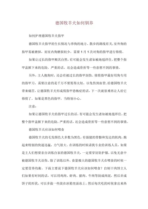 德国牧羊犬如何驯养