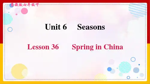 冀教版初中英语七年级下册《Unit6 Lesson 36 Spring in China》课件
