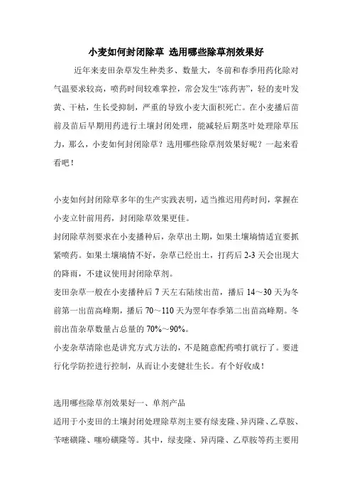 小麦如何封闭除草 选用哪些除草剂效果好.doc