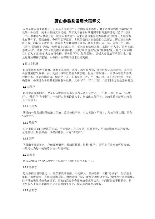 野山参鉴别常用术语释义