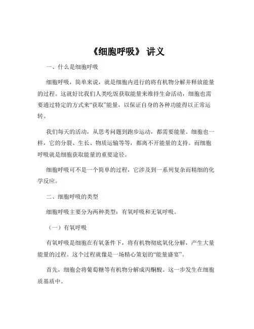 《细胞呼吸》 讲义