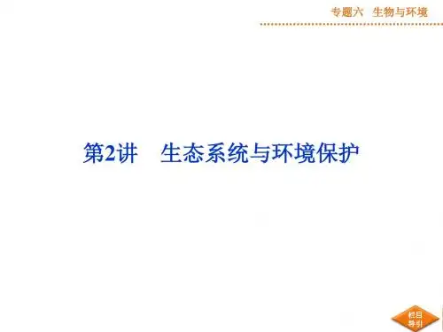 高考生物二轮专题复习：6.2《生态系统与环境保护》ppt精编课件55页