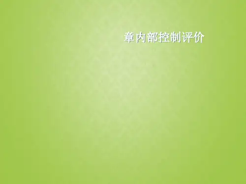 内部控制评价(PPT 80张)