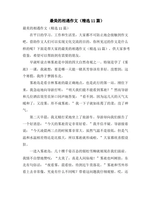 最美的相遇作文(精选11篇)
