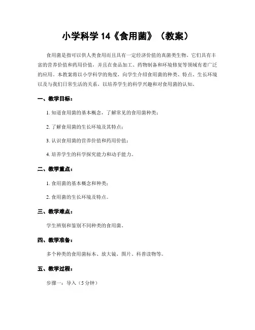 小学科学14《食用菌》(教案)