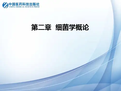 大肠埃希菌细胞壁的肽聚糖结构模式图