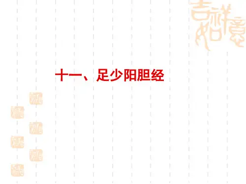 胆经