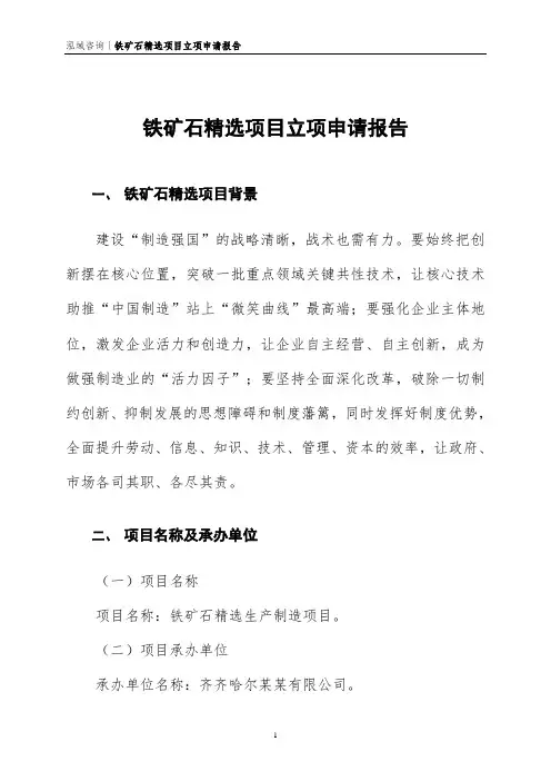 铁矿石精选项目立项申请报告