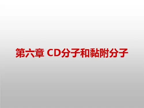 医学免疫学课件  第六章 CD分子和黏附分子