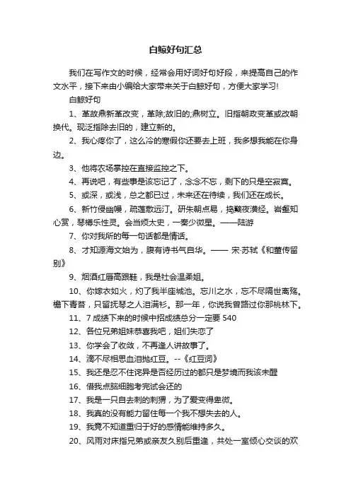 白鲸好句汇总