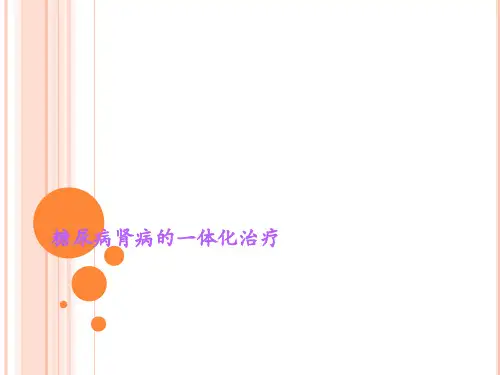 糖尿病肾病的一体化治疗