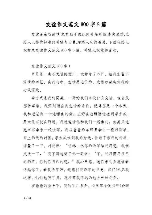 友谊作文范文800字5篇