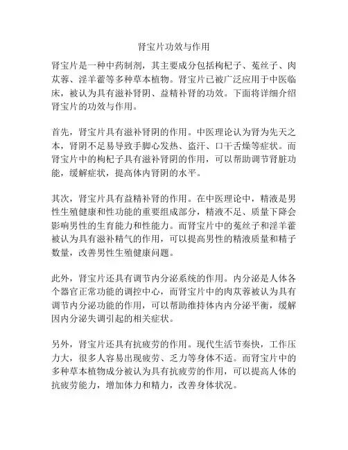 肾宝片功效与作用