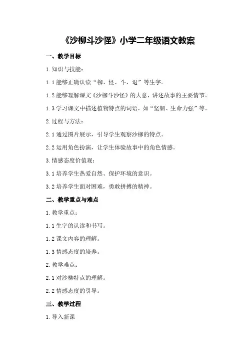 《沙柳斗沙怪》小学二年级语文教案