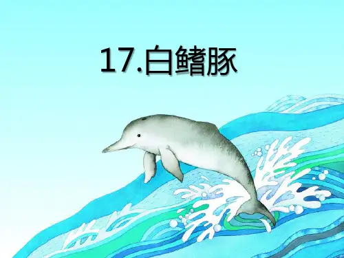 五年级上册语文课件 -5.17 白鳍豚 ｜湘教版 (共22张PPT)