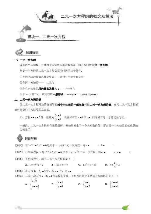 (完整版)初中数学二元一次方程组知识点+习题