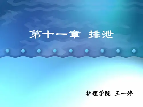 基础护理学第十一章 排泄