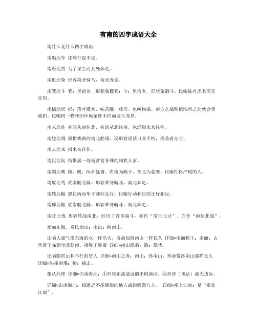 有南的四字成语大全