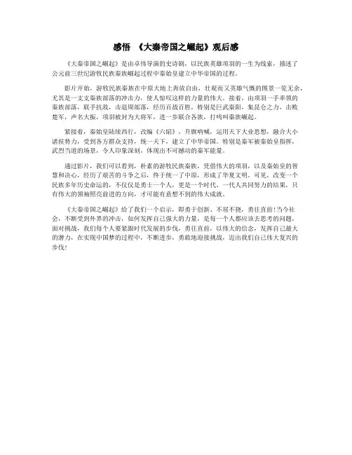 感悟 《大秦帝国之崛起》观后感