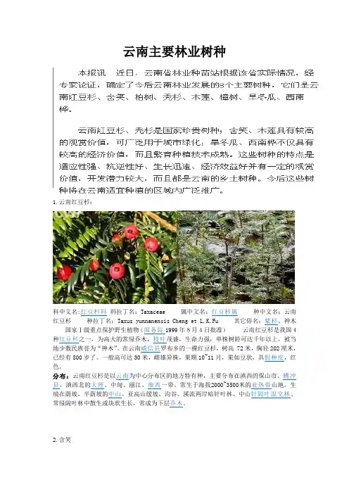 云南主要林业树种