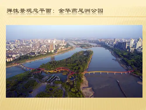 (完整版)弹性景观-金华燕尾洲公园