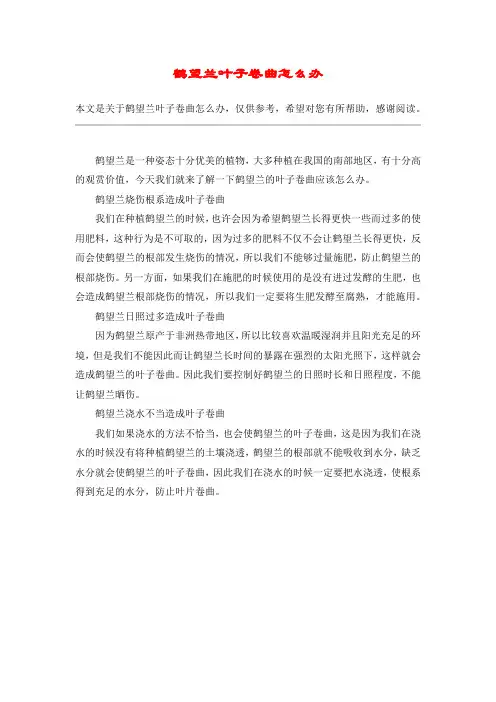 鹤望兰叶子卷曲怎么办