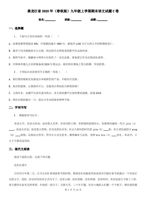 黑龙江省2020年(春秋版)九年级上学期期末语文试题C卷