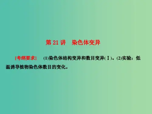 高考生物大一轮复习 第七单元 生物的变异、育种和进化 第21讲 染色体变异课件 新人教版