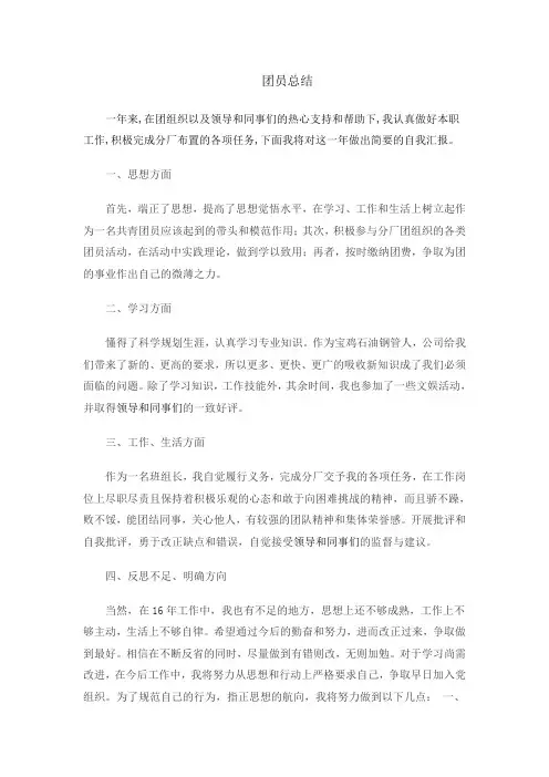 团员年度个人总结