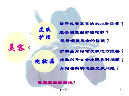 皮肤美容专业知识培训ppt课件