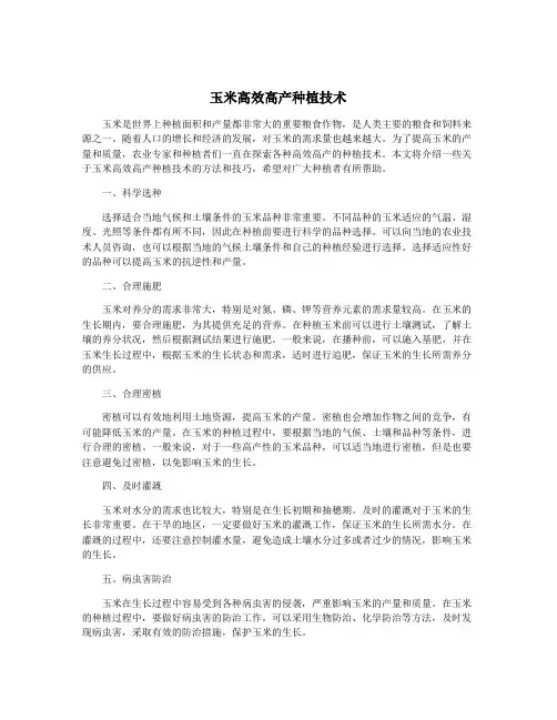 玉米高效高产种植技术