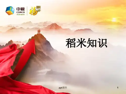 大米产品知识培训ppt课件