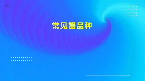 常见蟹品种 