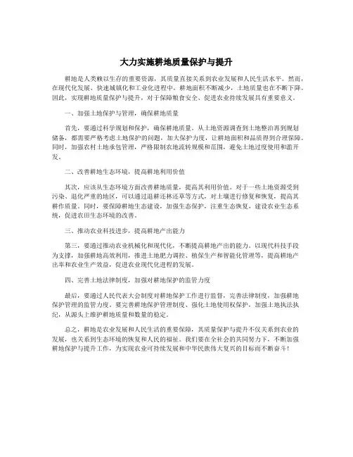 大力实施耕地质量保护与提升