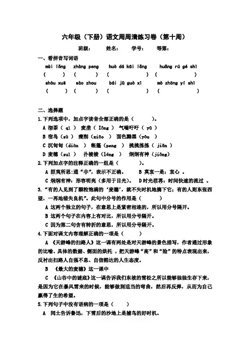 语文六下周周清试卷(第10周)