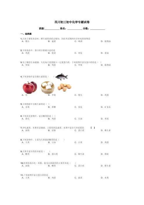 四川初三初中化学专题试卷带答案解析
