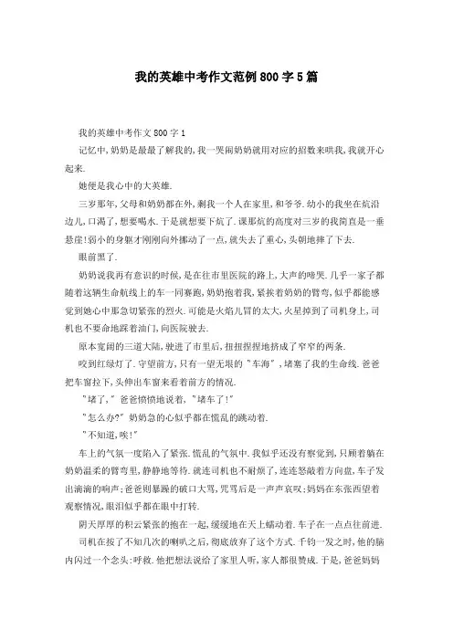 我的英雄中考作文范例800字5篇