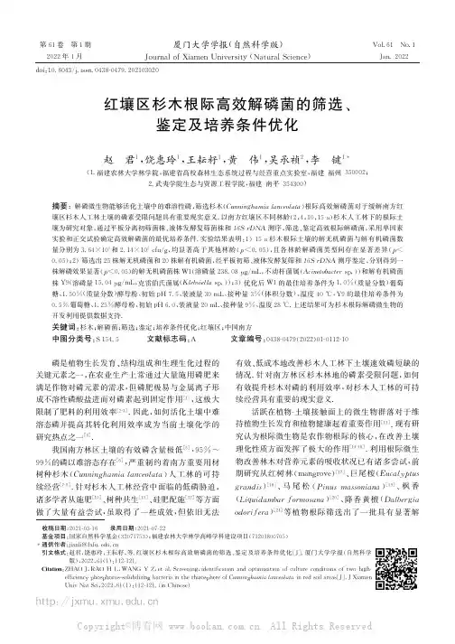 红壤区杉木根际高效解磷菌的筛选、鉴定及培养条件优化