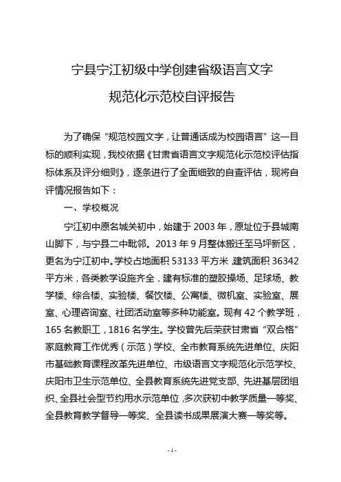 自评报告