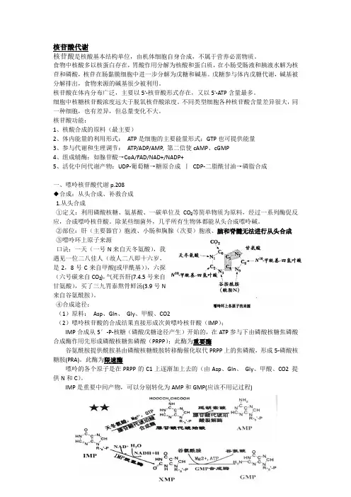 查锡良生化考研知识点笔记08核苷酸代谢