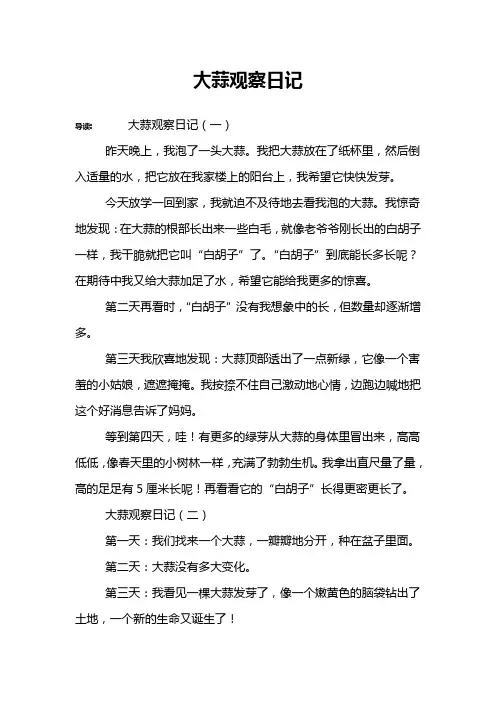 大蒜观察日记