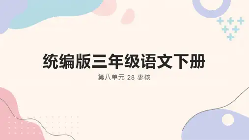 28.《枣核》课件(共26张PPT)
